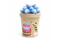 „HAPPY BIRTHDAY - FOR BOY“, box of lollipops, 10 x 6g