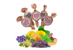 Mix of honey and herb lollipops with „FOLKLORE HEART“ labels, 20 x 6g