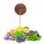 Mix of honey and herbs lollipops, 20 x 6g 